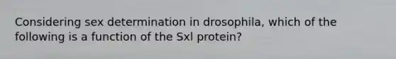 Considering sex determination in drosophila, which of the following is a function of the Sxl protein?