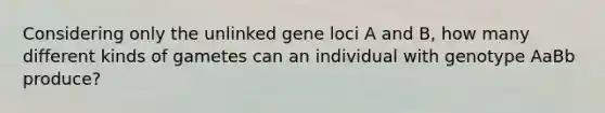 Considering only the unlinked gene loci A and B, how many different kinds of gametes can an individual with genotype AaBb produce?