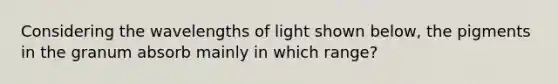 Considering the wavelengths of light shown below, the pigments in the granum absorb mainly in which range?