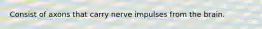Consist of axons that carry nerve impulses from the brain.
