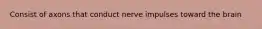 Consist of axons that conduct nerve impulses toward the brain