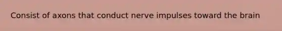 Consist of axons that conduct nerve impulses toward the brain