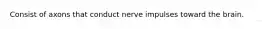 Consist of axons that conduct nerve impulses toward the brain.