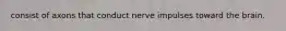 consist of axons that conduct nerve impulses toward the brain.