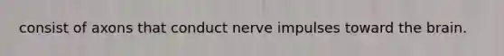 consist of axons that conduct nerve impulses toward the brain.