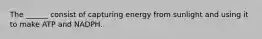 The ______ consist of capturing energy from sunlight and using it to make ATP and NADPH.