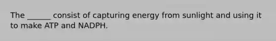 The ______ consist of capturing energy from sunlight and using it to make ATP and NADPH.