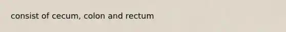 consist of cecum, colon and rectum