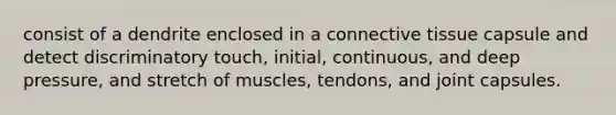 consist of a dendrite enclosed in a connective tissue capsule and detect discriminatory touch, initial, continuous, and deep pressure, and stretch of muscles, tendons, and joint capsules.