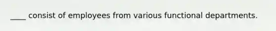 ____ consist of employees from various functional departments.