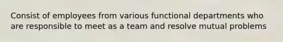 Consist of employees from various functional departments who are responsible to meet as a team and resolve mutual problems