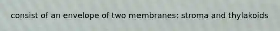 consist of an envelope of two membranes: stroma and thylakoids