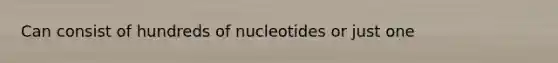 Can consist of hundreds of nucleotides or just one