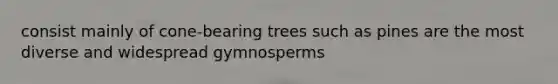 consist mainly of cone-bearing trees such as pines are the most diverse and widespread gymnosperms