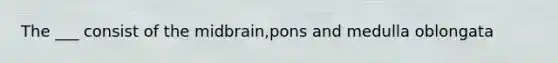 The ___ consist of the midbrain,pons and medulla oblongata