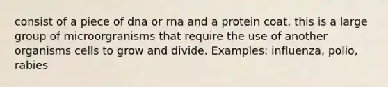 consist of a piece of dna or rna and a protein coat. this is a large group of microorgranisms that require the use of another organisms cells to grow and divide. Examples: influenza, polio, rabies