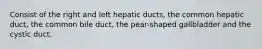 Consist of the right and left hepatic ducts, the common hepatic duct, the common bile duct, the pear-shaped gallbladder and the cystic duct.