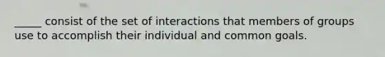 _____ consist of the set of interactions that members of groups use to accomplish their individual and common goals.