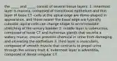 the _____ and _____ consist of several tissue layers: 1. innermost layer is mucosa, composed of transitional epithelium and thin layer of loose CT -cells at the apical edge are dome-shaped in appearance, and those nearer the basal edge are typically cuboidal -apical cells can change shape to accommodate stretching of the urinary bladder 2. middle layer is submucosa, composed of loose CT and numerous glands that secrete a watery mucus -mucus prevents chemical in urine from damaging and ulcerating the epithelium 3. third layer is muscularis, composed of smooth muscle that contracts to propel urine through the urinary tract 4. outermost layer is adventitia, composed of dense irregular CT