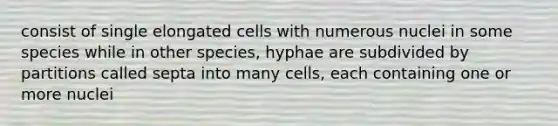 consist of single elongated cells with numerous nuclei in some species while in other species, hyphae are subdivided by partitions called septa into many cells, each containing one or more nuclei