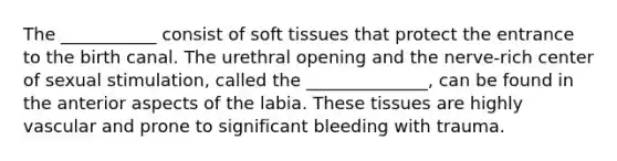 The ___________ consist of soft tissues that protect the entrance to the birth canal. The urethral opening and the nerve-rich center of sexual stimulation, called the ______________, can be found in the anterior aspects of the labia. These tissues are highly vascular and prone to significant bleeding with trauma.