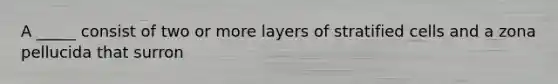 A _____ consist of two or more layers of stratified cells and a zona pellucida that surron