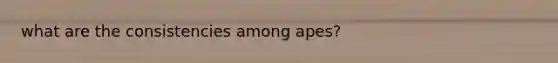 what are the consistencies among apes?