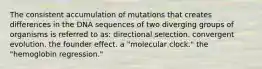 The consistent accumulation of mutations that creates differences in the DNA sequences of two diverging groups of organisms is referred to as: directional selection. convergent evolution. the founder effect. a "molecular clock." the "hemoglobin regression."