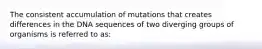 The consistent accumulation of mutations that creates differences in the DNA sequences of two diverging groups of organisms is referred to as: