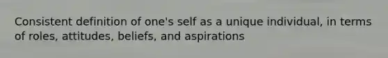 Consistent definition of one's self as a unique individual, in terms of roles, attitudes, beliefs, and aspirations