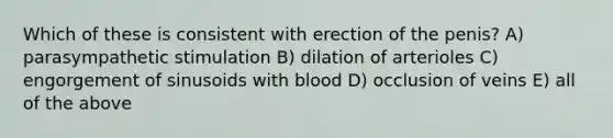 Which of these is consistent with erection of the penis? A) parasympathetic stimulation B) dilation of arterioles C) engorgement of sinusoids with blood D) occlusion of veins E) all of the above