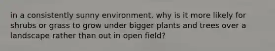 in a consistently sunny environment, why is it more likely for shrubs or grass to grow under bigger plants and trees over a landscape rather than out in open field?