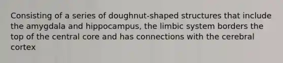 Consisting of a series of doughnut-shaped structures that include the amygdala and hippocampus, the limbic system borders the top of the central core and has connections with the cerebral cortex