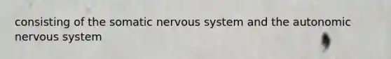 consisting of the somatic nervous system and the autonomic nervous system