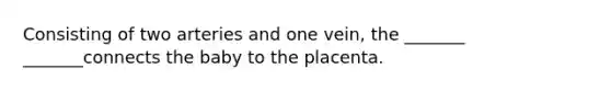 Consisting of two arteries and one vein, the _______ _______connects the baby to the placenta.