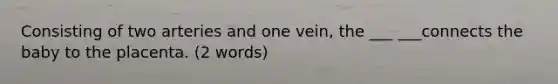 Consisting of two arteries and one vein, the ___ ___connects the baby to the placenta. (2 words)