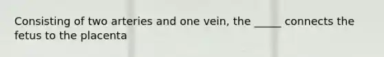 Consisting of two arteries and one vein, the _____ connects the fetus to the placenta