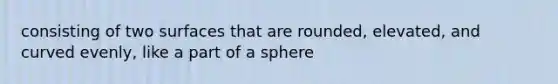 consisting of two surfaces that are rounded, elevated, and curved evenly, like a part of a sphere