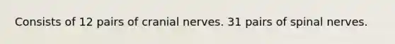 Consists of 12 pairs of cranial nerves. 31 pairs of spinal nerves.