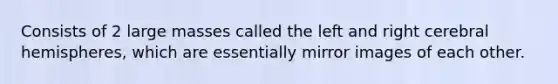 Consists of 2 large masses called the left and right cerebral hemispheres, which are essentially mirror images of each other.