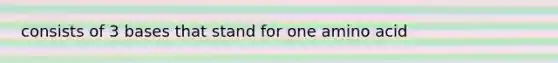 consists of 3 bases that stand for one amino acid