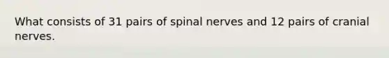 What consists of 31 pairs of spinal nerves and 12 pairs of cranial nerves.