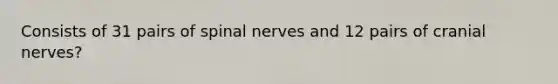 Consists of 31 pairs of spinal nerves and 12 pairs of cranial nerves?