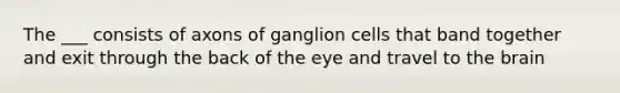 The ___ consists of axons of ganglion cells that band together and exit through the back of the eye and travel to the brain