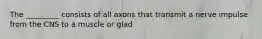 The _________ consists of all axons that transmit a nerve impulse from the CNS to a muscle or glad