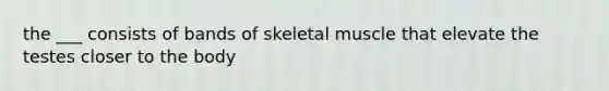 the ___ consists of bands of skeletal muscle that elevate the testes closer to the body