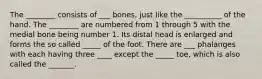 The ________ consists of ___ bones, just like the __________ of the hand. The ________ are numbered from 1 through 5 with the medial bone being number 1. Its distal head is enlarged and forms the so called _____ of the foot. There are ___ phalanges with each having three ____ except the _____ toe, which is also called the _______.