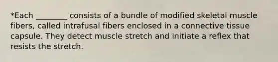 *Each ________ consists of a bundle of modified skeletal muscle fibers, called intrafusal fibers enclosed in a connective tissue capsule. They detect muscle stretch and initiate a reflex that resists the stretch.