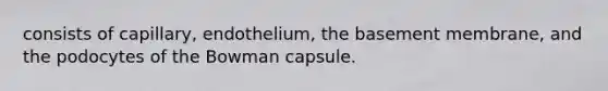 consists of capillary, endothelium, the basement membrane, and the podocytes of the Bowman capsule.