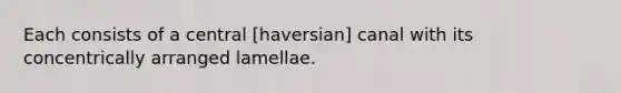 Each consists of a central [haversian] canal with its concentrically arranged lamellae.